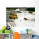 Grizzly Bears Fishing for Salmon Wall Mural
