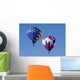 Hot Air Balloon 0707 Wall Mural