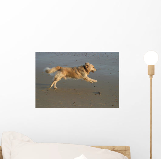 Charge Wall Mural
