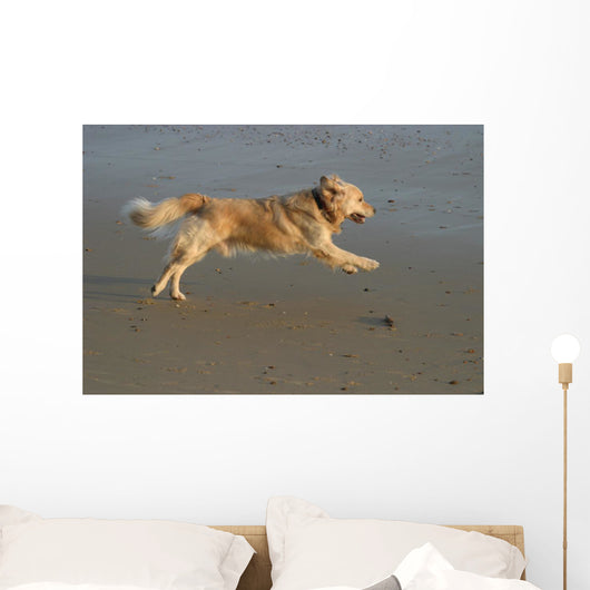 Charge Wall Mural