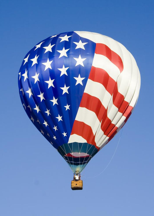 Hot Air Balloon 0739 Wall Decal