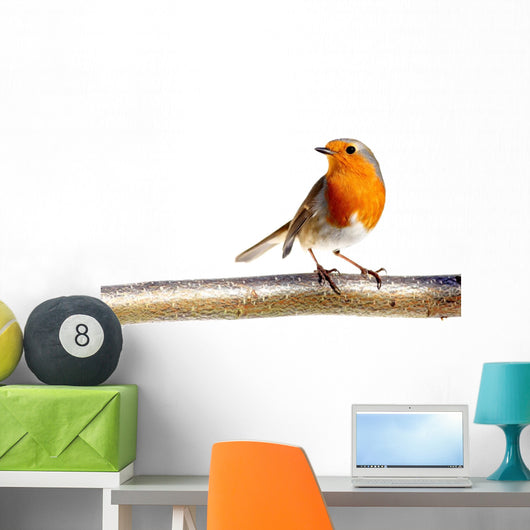 European Robin Branch