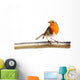 European Robin Branch