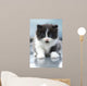 Cute Kitten