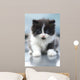 Cute Kitten