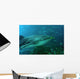 whale shark Wall Mural