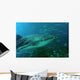 whale shark Wall Mural