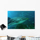 whale shark Wall Mural