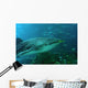 whale shark Wall Mural
