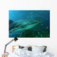 whale shark Wall Mural