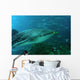 whale shark Wall Mural