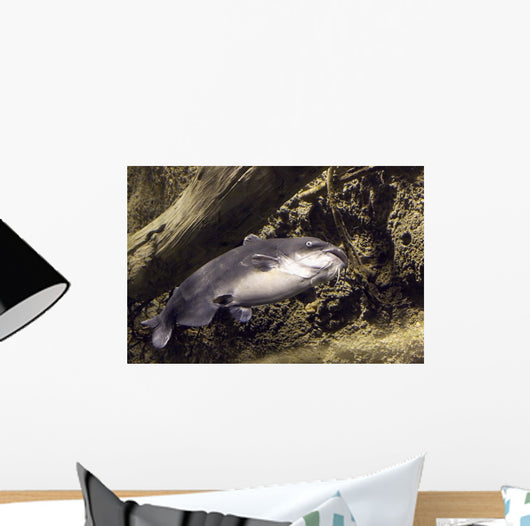 blue catfish Wall Mural