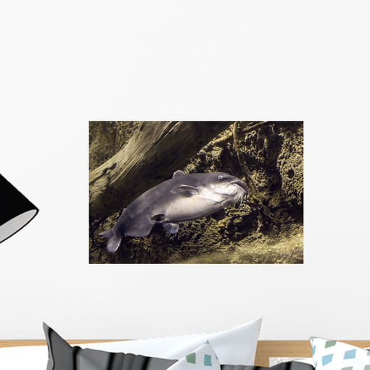 blue catfish Wall Mural