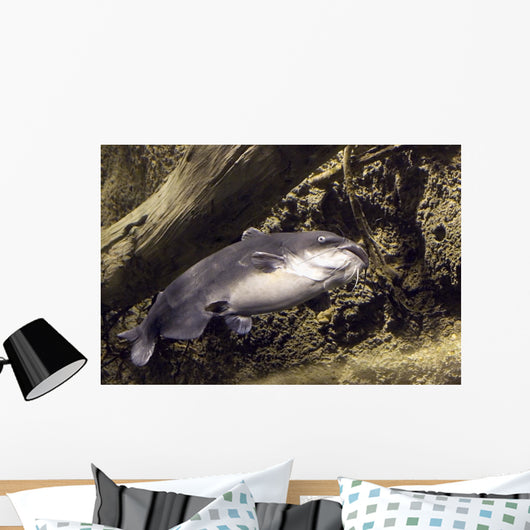 blue catfish Wall Mural