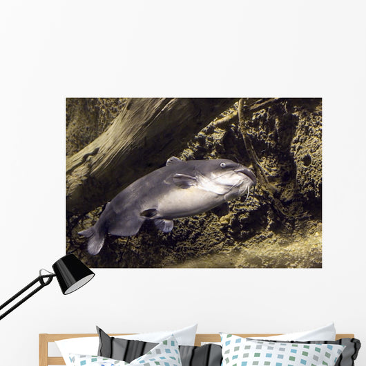 blue catfish Wall Mural