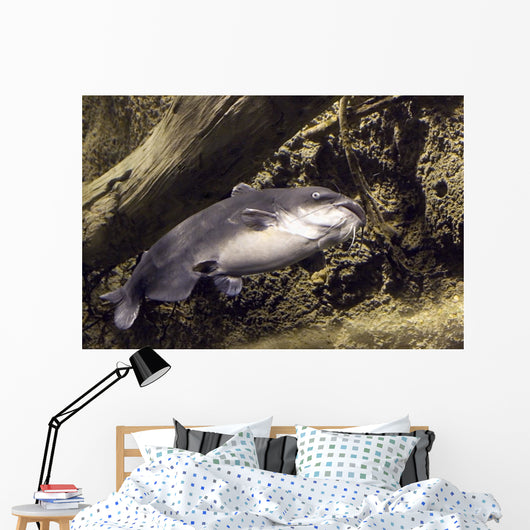 blue catfish Wall Mural