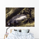 blue catfish Wall Mural