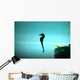 Seahorse