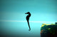 Seahorse