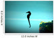 Seahorse