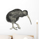 Kiwi (Apteryx australis) Wall Decal