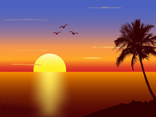 Sunset with Palmtree Silhouette