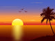 Sunset with Palmtree Silhouette