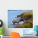Bull Elk Exiting Lake Wall Mural