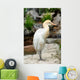 Heron Wall Mural