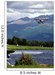 Red Floatplane Landing Wall Mural