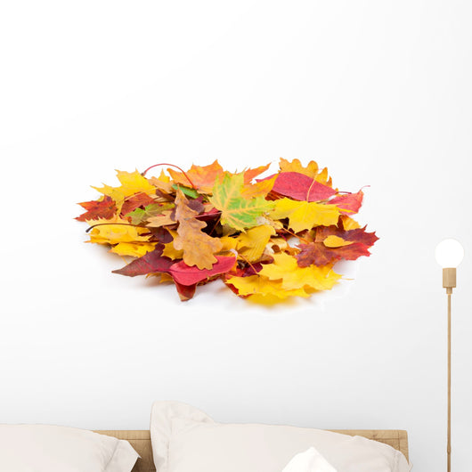 Heap Autumnal Leaves