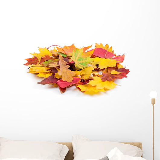 Heap Autumnal Leaves