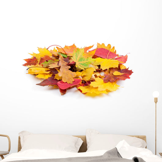 Heap Autumnal Leaves