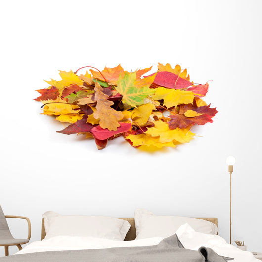 Heap Autumnal Leaves