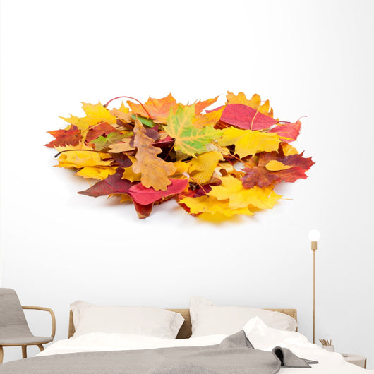 Heap Autumnal Leaves