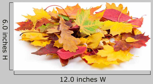 Heap Autumnal Leaves
