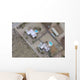Aerial Desert Homes Tuscon Wall Decal