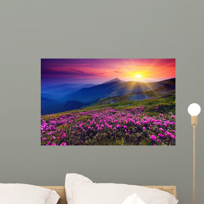 Mountain Landscape shown on a wall