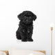 Black Toy poodle puppy Wall Decal