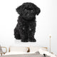 Black Toy poodle puppy Wall Decal