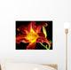 Daylily on black background Wall Mural
