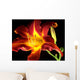 Daylily on black background Wall Mural