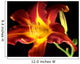 Daylily on black background Wall Mural