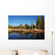 Forest Lake Reflection Wall Decal