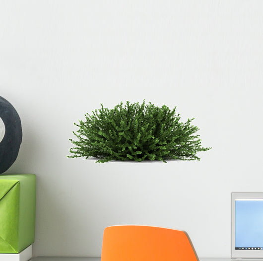 Coral Beauty Bush White Wall Decal
