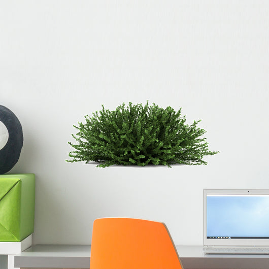 Coral Beauty Bush White Wall Decal