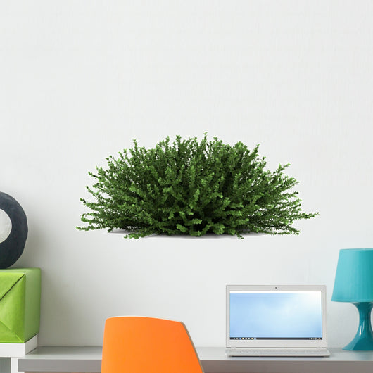 Coral Beauty Bush White Wall Decal