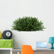 Coral Beauty Bush White Wall Decal