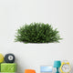 Coral Beauty Bush White Wall Decal