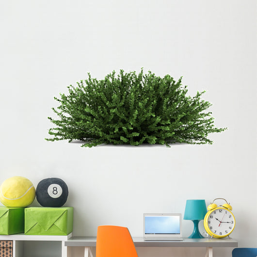 Coral Beauty Bush White Wall Decal